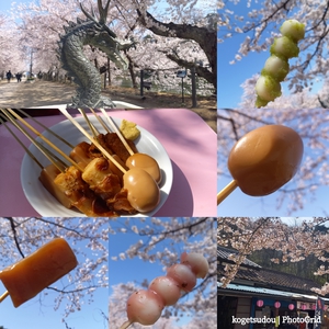 桜を巡る
