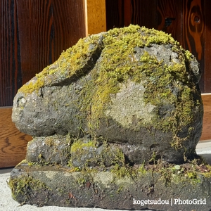 動物園････化