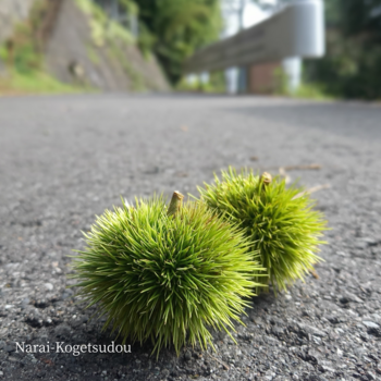 「鯛」