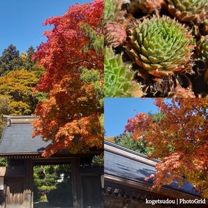 秋晴れ続く