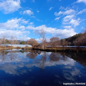 今年の「ガメラ」 今年の「ガメラ」