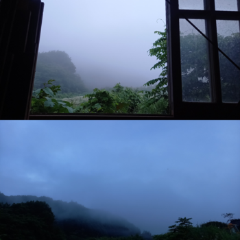 夏本番の８月、入りました