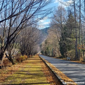 今年の「ガメラ」 今年の「ガメラ」