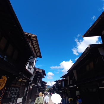 これは？残暑なのか・・・・
