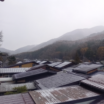 冬です