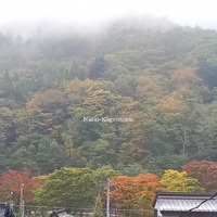 お正月へ向けて・・・・