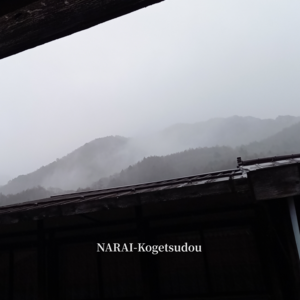 冬、本気を見せだした