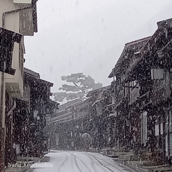 風情あり