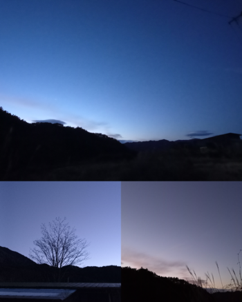 風情あり