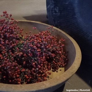 時期の物、南天の苔玉と 時期の物、南天の苔玉と