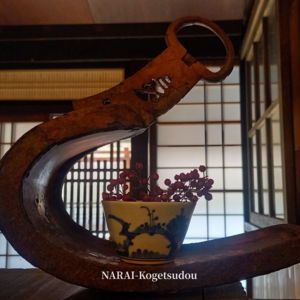 店内、秋へ移ろう