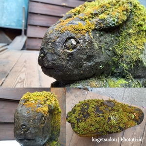 動物園････化