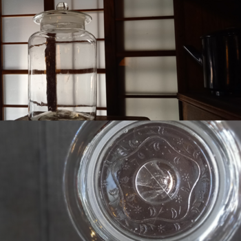 うさぎの「カタカタ」
