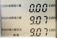 ・リーフモニター　４日目