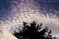 ・うろこ雲（イワシ雲）