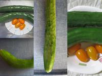 自家野菜の写真で自画像（爆）