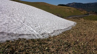 残雪