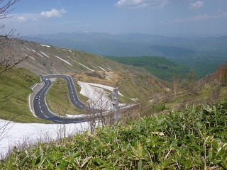 志賀草津道路