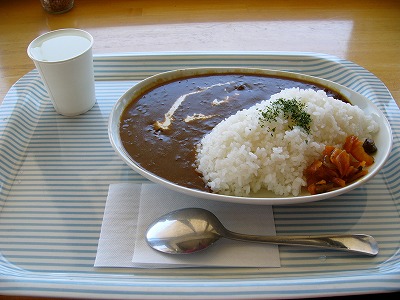 鹿肉カレー