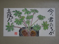 傘咲きルピナス（花の里いいじま）②