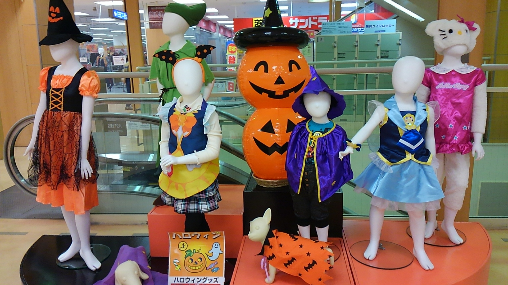 町で見かけたあんなもの