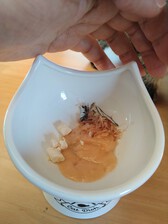 猫にご褒美 猫にご褒美
