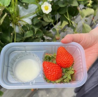 いちご狩り日記
