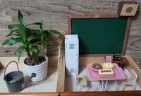 ｼﾆｱの独り遊び