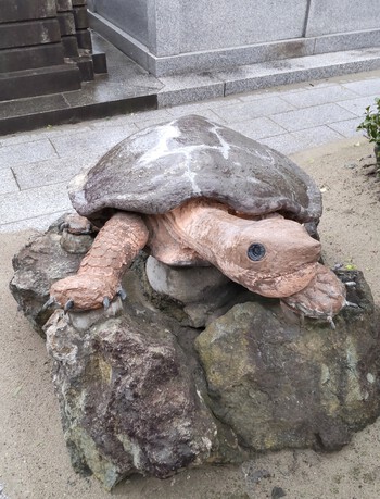 3日目の朝〜♬⑭