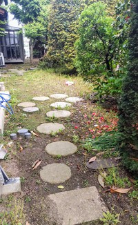 草取りは続くよ！！まだまだまだ。