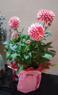 5月18日