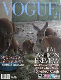 ハッチファミリーがVOGUEの表紙に？！