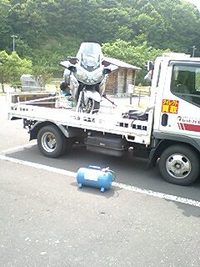 引き上げ中(T.T)