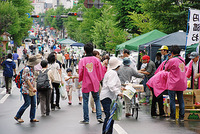 【表参道 7月】ながの軽トラ市レポート。