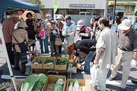 【篠ノ井 5月】ながの軽トラ市レポート。