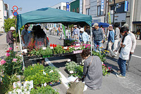 【篠ノ井 5月】ながの軽トラ市レポート。