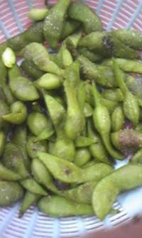 黒豆の枝豆