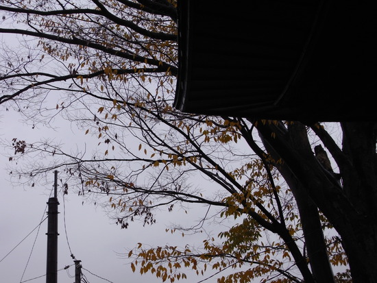 空が。