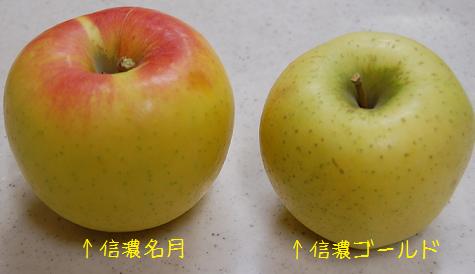 信濃名月と信濃ゴールド