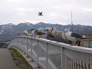 輪島市