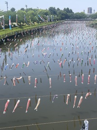 館林つつじが岡公園