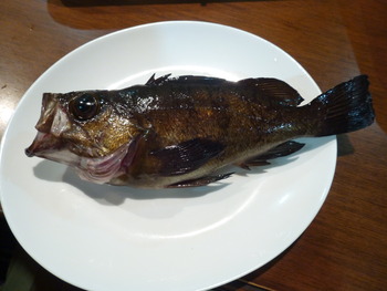 黑メバル・釣り人竹さん！ありがとう②