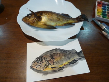 黑メバル・釣り人竹さん！ありがとう②