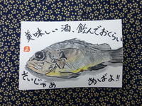 黑メバル・釣り人竹さん！ありがとう②