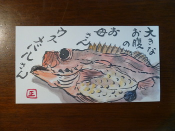 ウスメバルのママ（産卵前）
