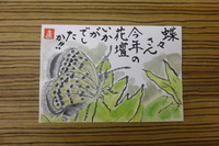 蝶々さん、ありがとうね。