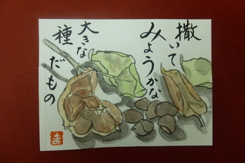 椿の種です。大きいね！