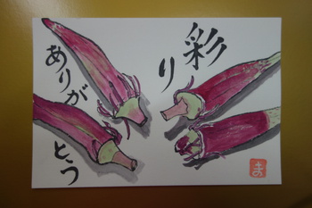赤いオクラです！
