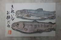 ふたつ並んだ鮎と鮎♪（山女魚でしたぁ！）