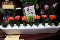 花のある暮らし